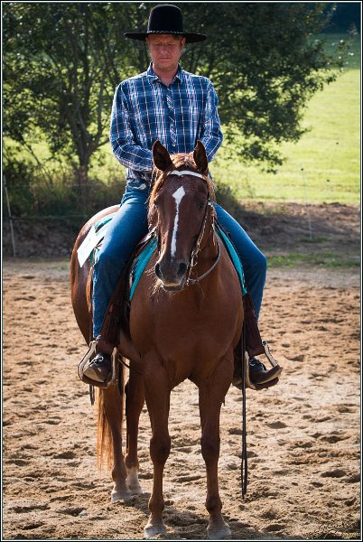 MP Stable16